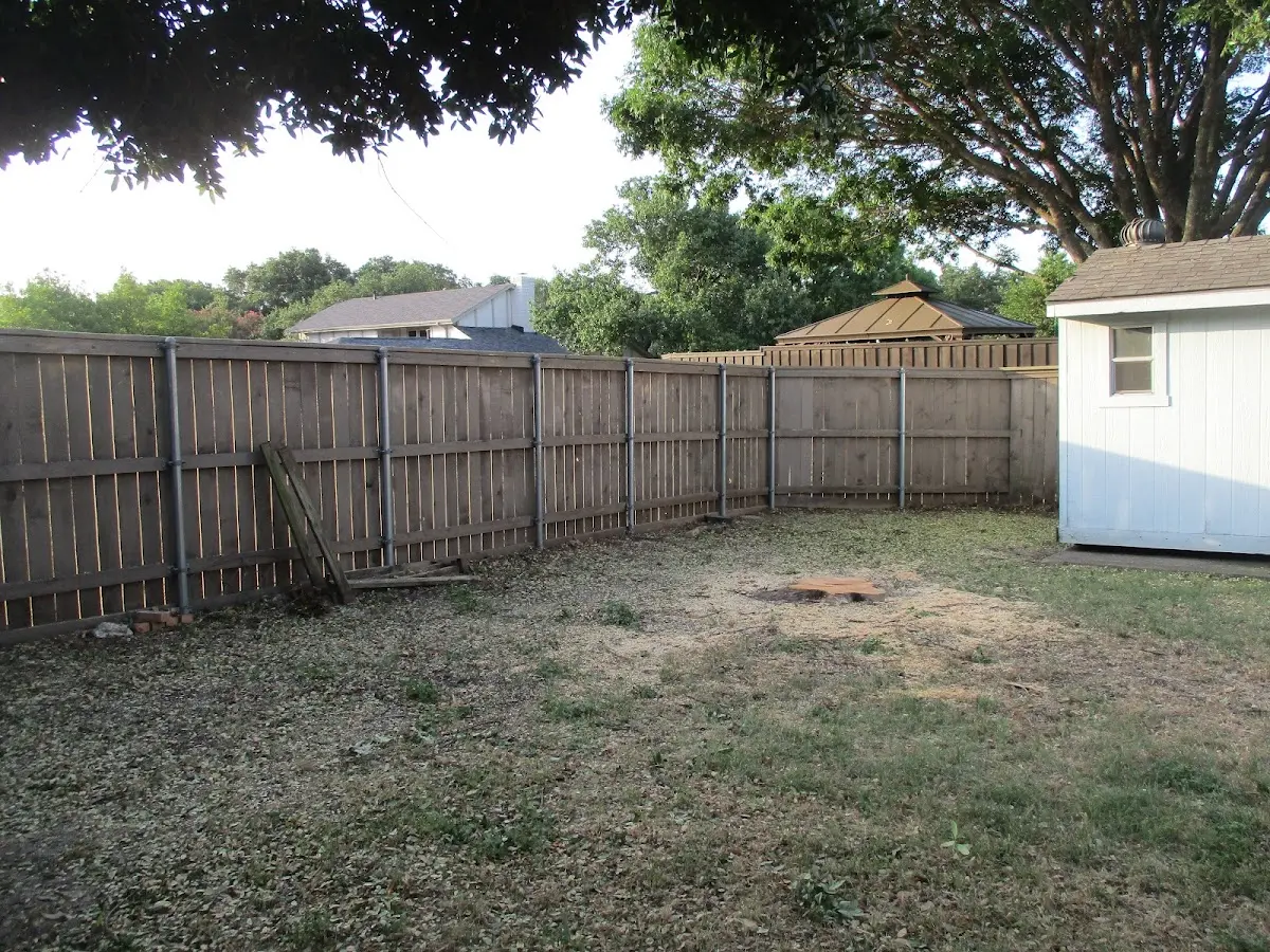 Cleared yard after professional tree removal in Accord